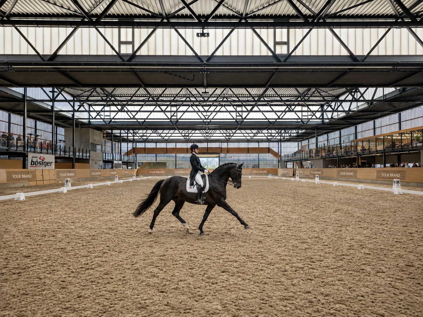 horse, Impression 5