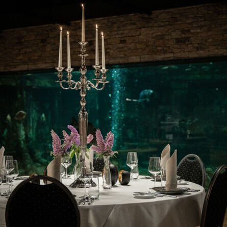 Events Bankette, Hochzeiten, Firmenevents und Familienfeiern