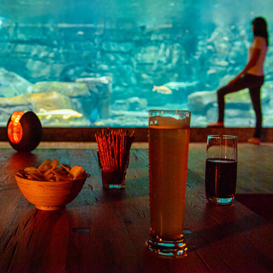 Aquarium Bar