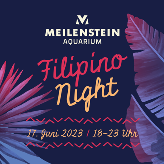 Filipino Night mit Liveband - Samstag 17.06.2023